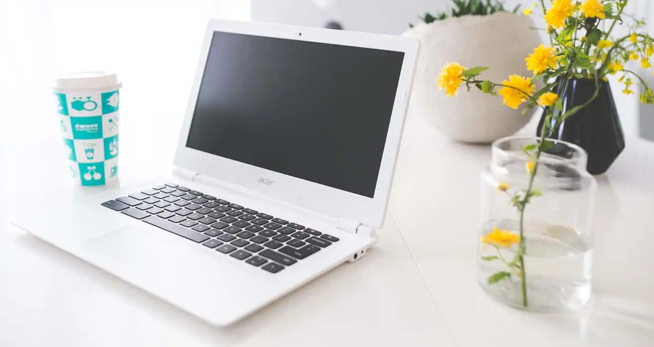Ремонт ноутбуков Acer в Адлере