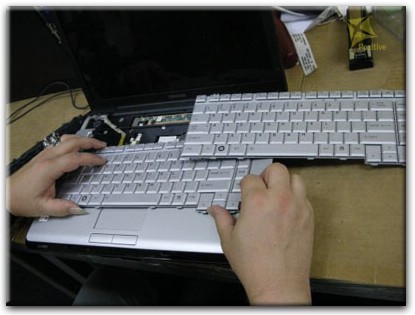 Ремонт клавиатуры на ноутбуке Toshiba в Адлере