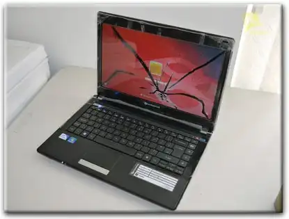 Замена матрицы Packard Bell в Адлере